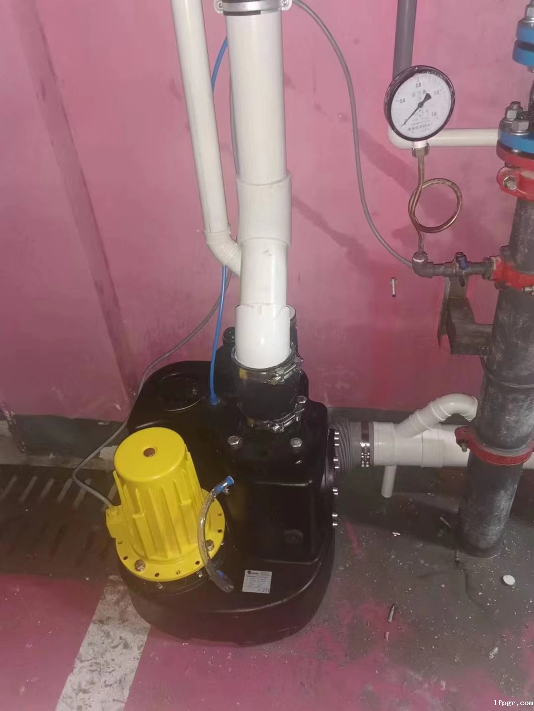 星空娱乐app下载安装