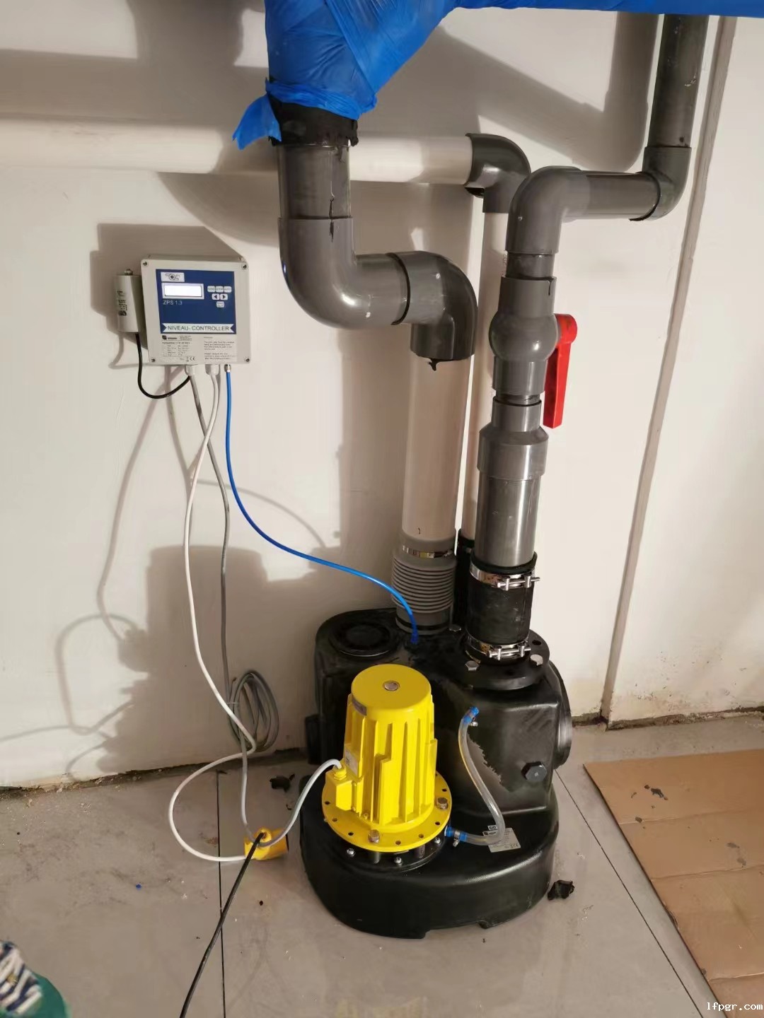 星空娱乐app下载安装